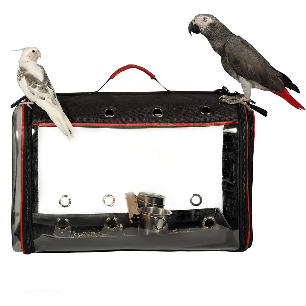 Lightweight Bird Carrier or Travelers, Bird Travel Cage with Parrot eeder Cups & Standing Perch and Tracy (Large 19 x 12 x 13 in