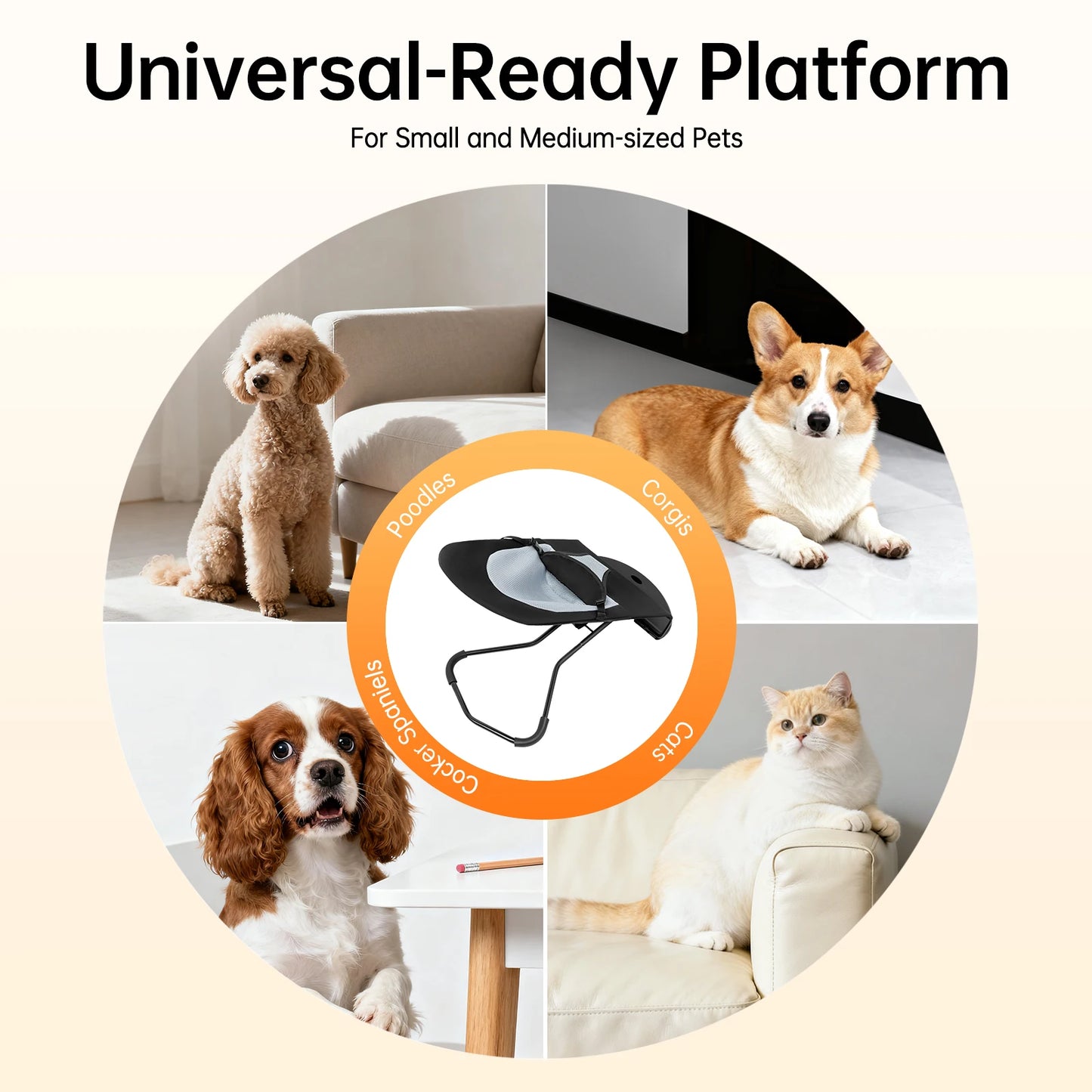 Foldable Pet Rocking Chair for Small Dogs Cats, 33lbs Max Load Washable Mesh Cover with 3 Adjustable Heights