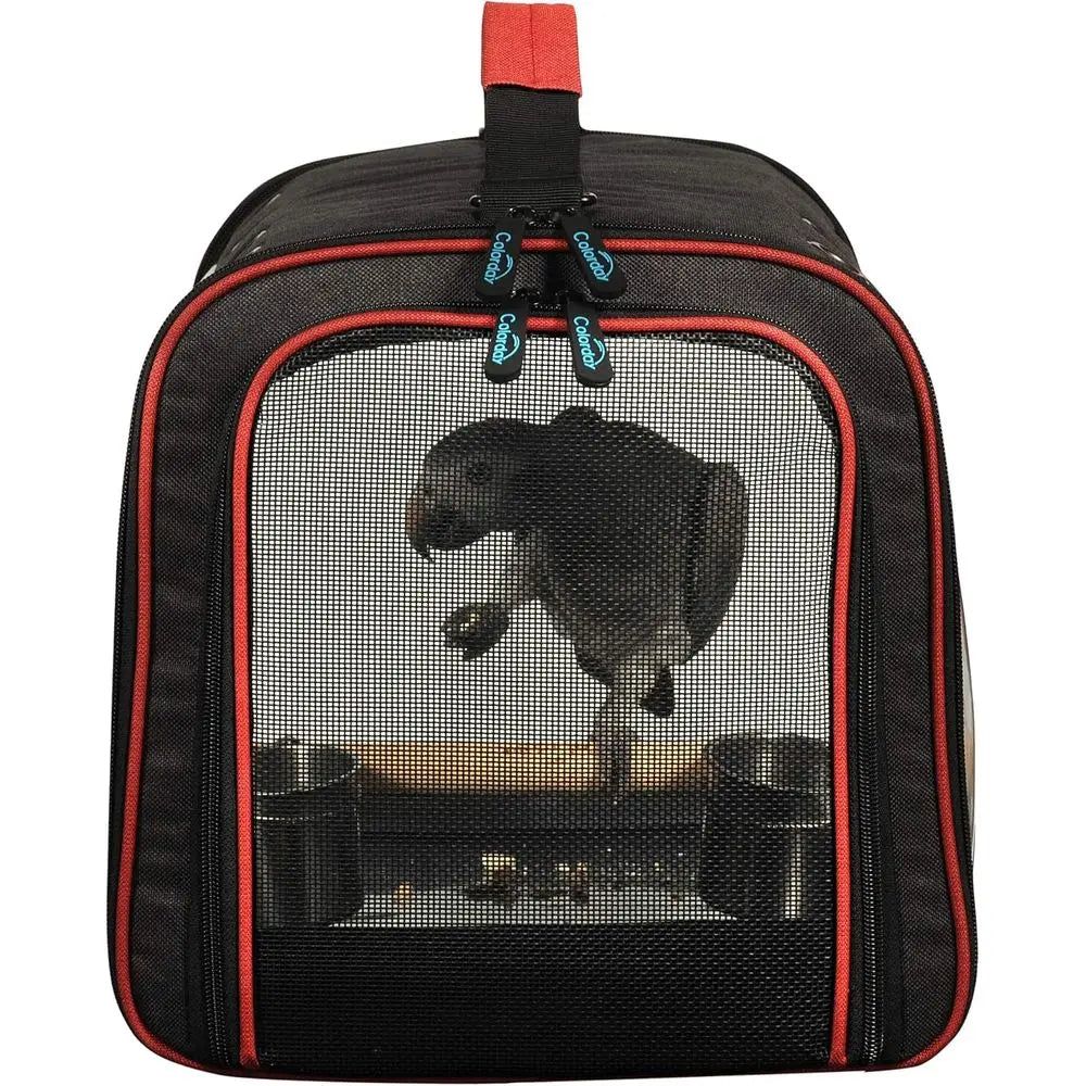 Lightweight Bird Carrier or Travelers, Bird Travel Cage with Parrot eeder Cups & Standing Perch and Tracy (Large 19 x 12 x 13 in