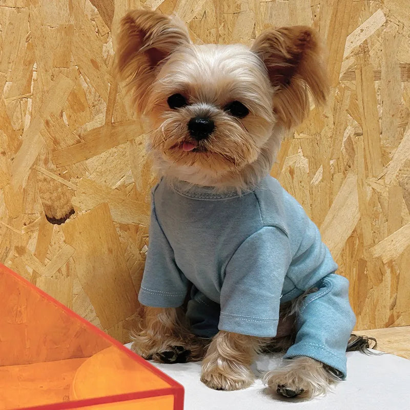 Fashion Winter Pet Dog Sweater: Solid Color Cotton Knit for Small/Medium Dogs