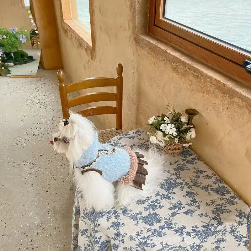 Cozy Autumn Winter Dog Clothes - Warm Princess Dress & Sweater Coat, Perfect For Small Dogs  Bichon And Maltese