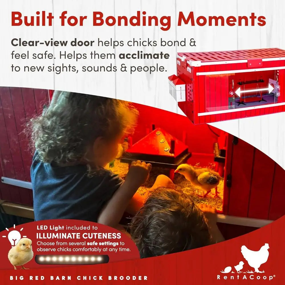 Big Red Barn Chick Brooder | Durable, Lightweight, Easy-Clean, Multipurpose | with Absorbent Hatchling Liners, Jute Liners, LED