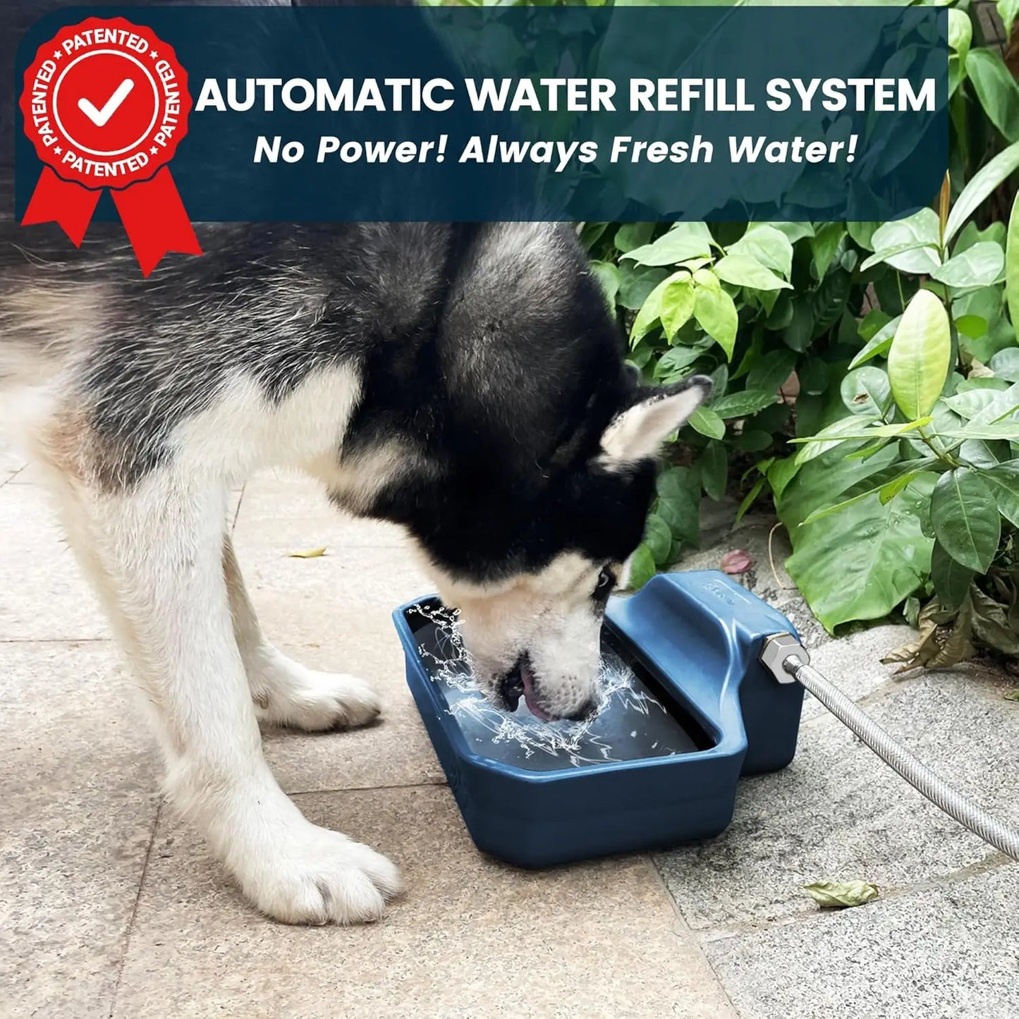 Automatic Water Dispenser for Dogs/Cats, 1 Gallon Auto-Fill Dog Water Bowl Dispenser for Indoor/Outdoor, Large Water Feeder for