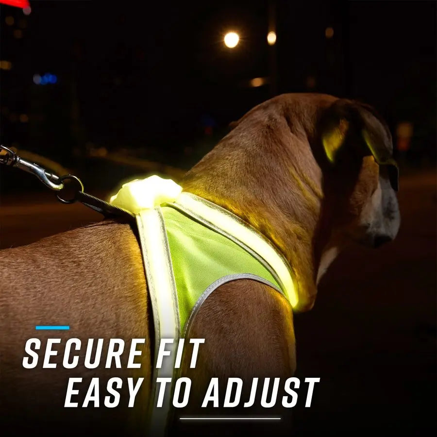 LightHound u2013 Revolutionary Illuminated and Reflective Harness for Dogs Including Multicolored LED Fiber Optics USB Recharge
