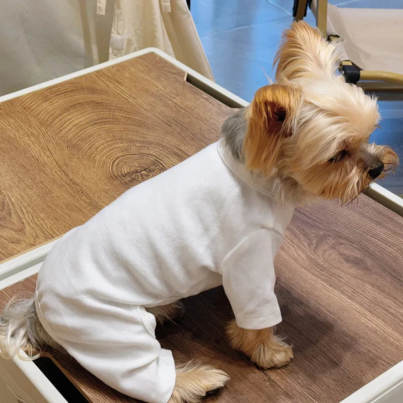 Fashion Winter Pet Dog Sweater: Solid Color Cotton Knit for Small/Medium Dogs