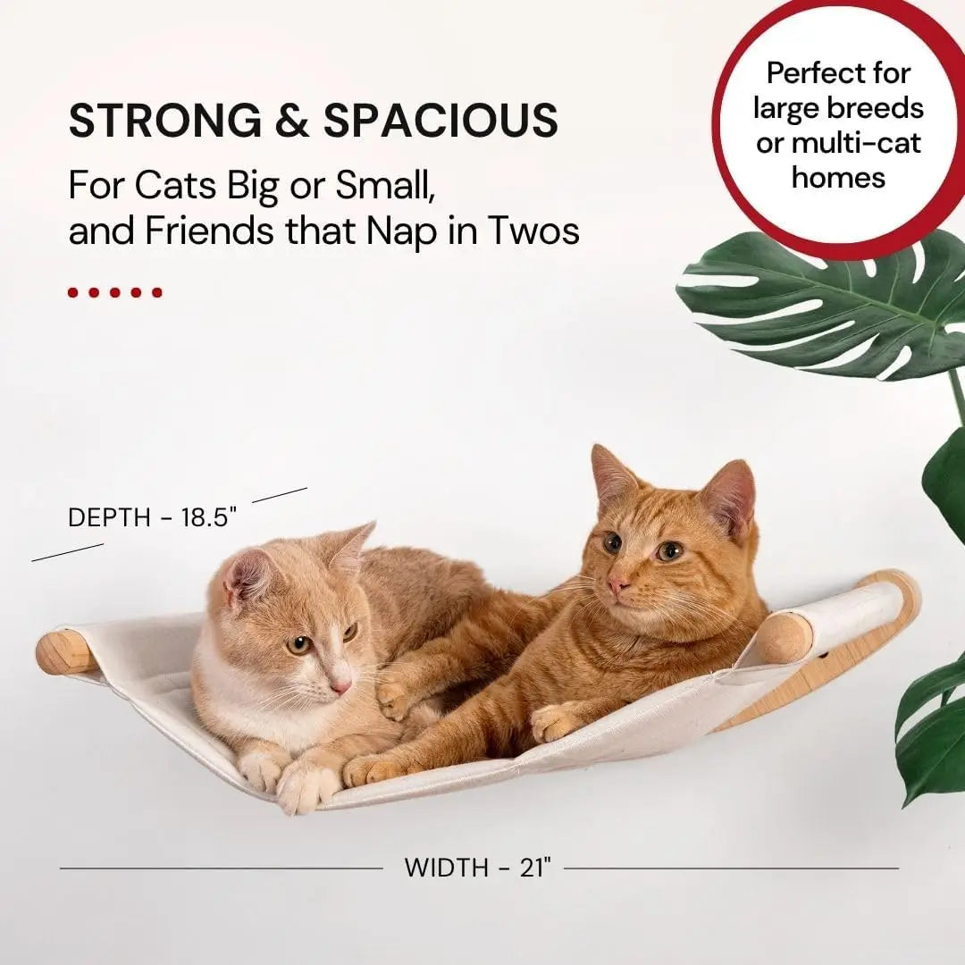 Wall Mounted Cat Hammock with Two Steps - Modern Cat Bed & Furniture for Indoor and Large Cats