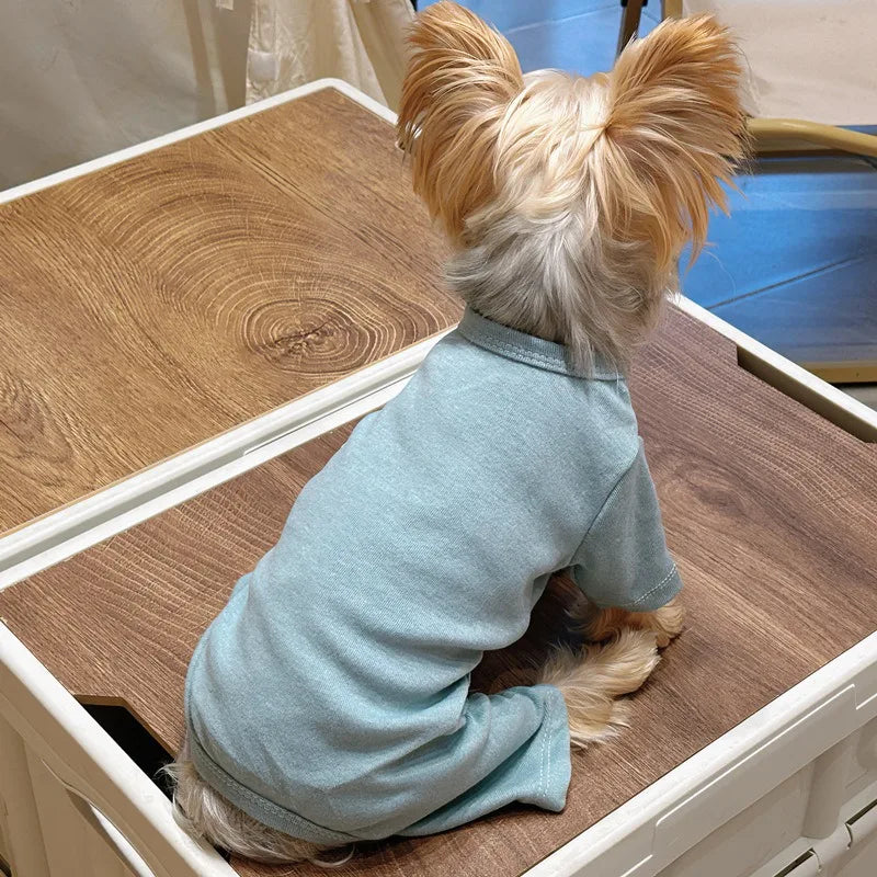 Fashion Winter Pet Dog Sweater: Solid Color Cotton Knit for Small/Medium Dogs