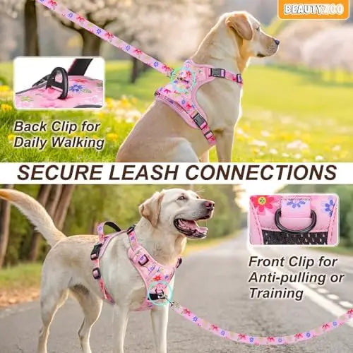 Pet-friendly harness with clips, adjustable leash, reflective vest for dogs.