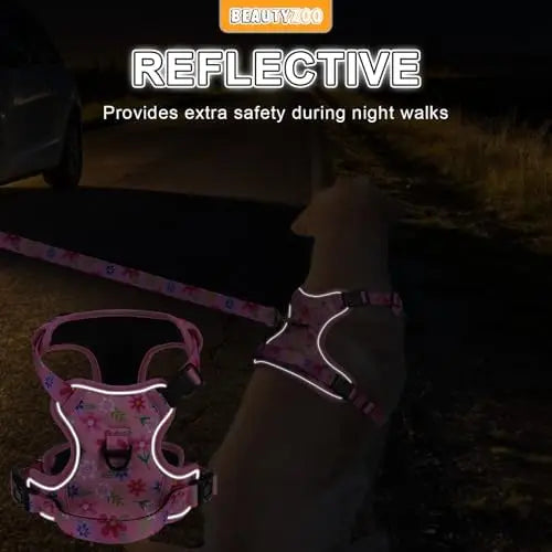 Pet-friendly harness with clips, adjustable leash, reflective vest for dogs.