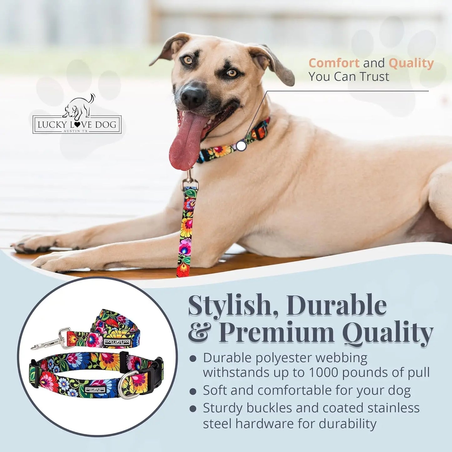 Easy Click Dog Collar & Leash Set, Durable Comfort for Medium Male/Female Pets, Secure Fit - Blackbird Combo