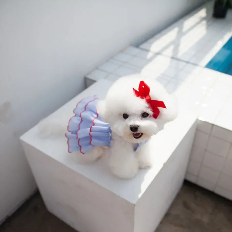 Summer Dog Princess Dress - Cute Small Pet Skirt Apparel