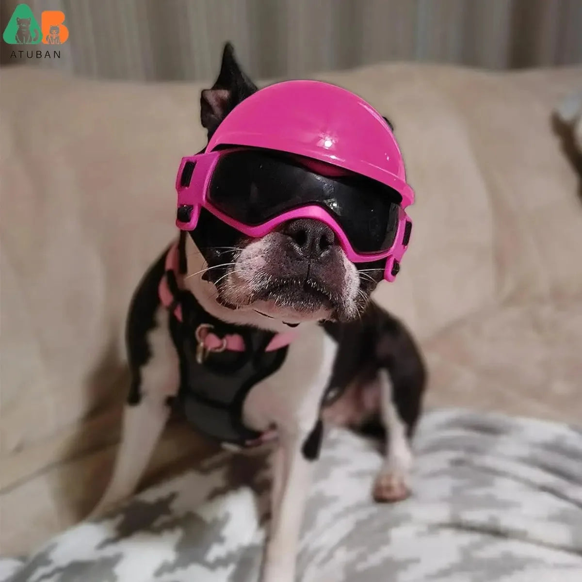 ATUBAN Dog Helmet and Dog Goggles for-Pet Motorcycle Helmet Hat with Ear Holes Adjustable Straps Safety Helmet for Puppy Riding