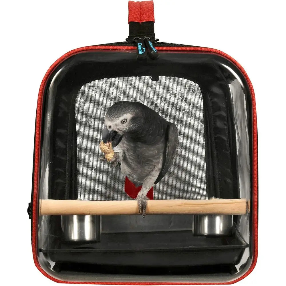 Lightweight Bird Carrier or Travelers, Bird Travel Cage with Parrot eeder Cups & Standing Perch and Tracy (Large 19 x 12 x 13 in