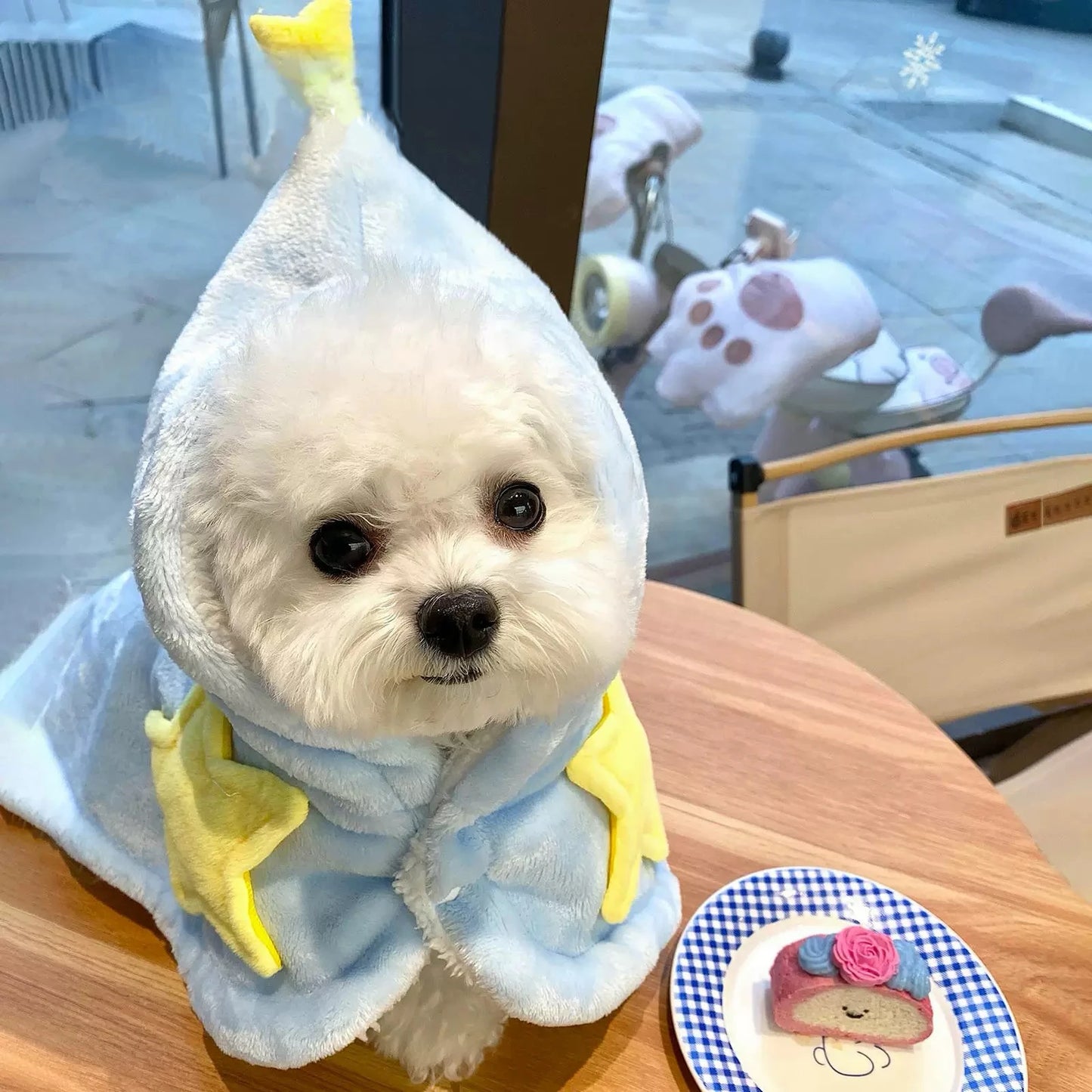 Dog and cat autumn and winter blanket cape cloak robe, warm sleep blanket for cats and pets, thickened quilt, machine washable,