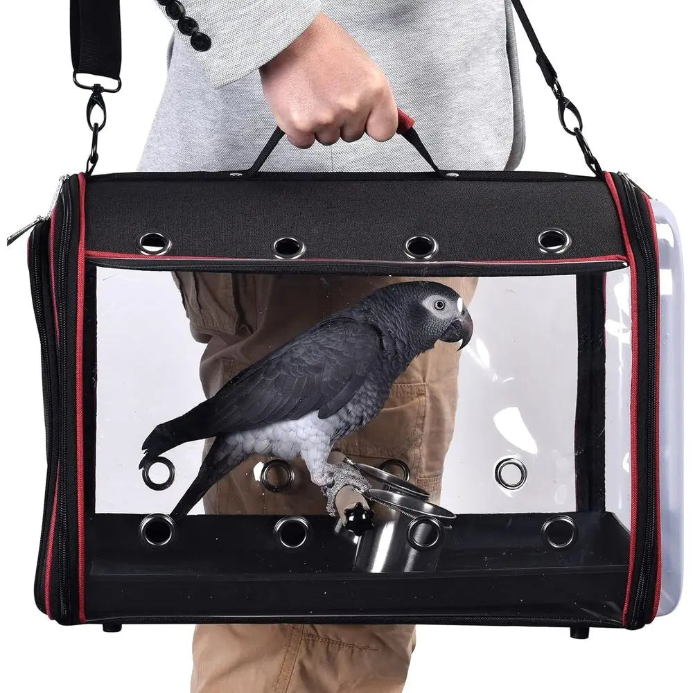 Lightweight Bird Carrier or Travelers, Bird Travel Cage with Parrot eeder Cups & Standing Perch and Tracy (Large 19 x 12 x 13 in