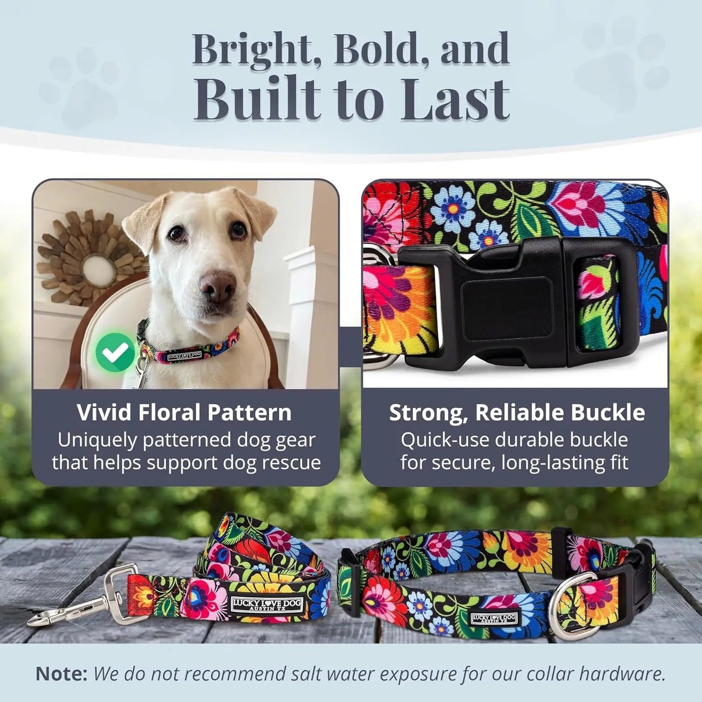 Easy Click Dog Collar & Leash Set, Durable Comfort for Medium Male/Female Pets, Secure Fit - Blackbird Combo