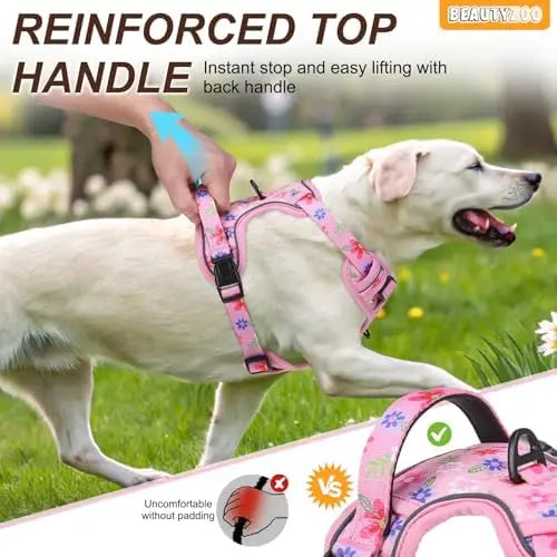 Pet-friendly harness with clips, adjustable leash, reflective vest for dogs.