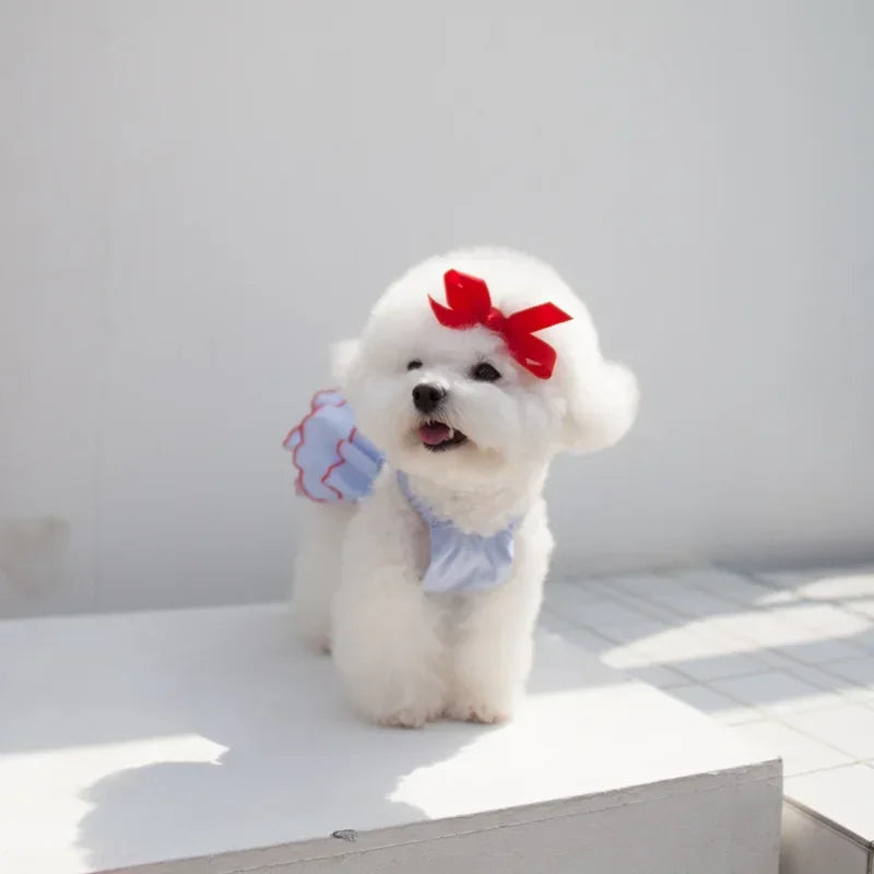 Summer Dog Princess Dress - Cute Small Pet Skirt Apparel