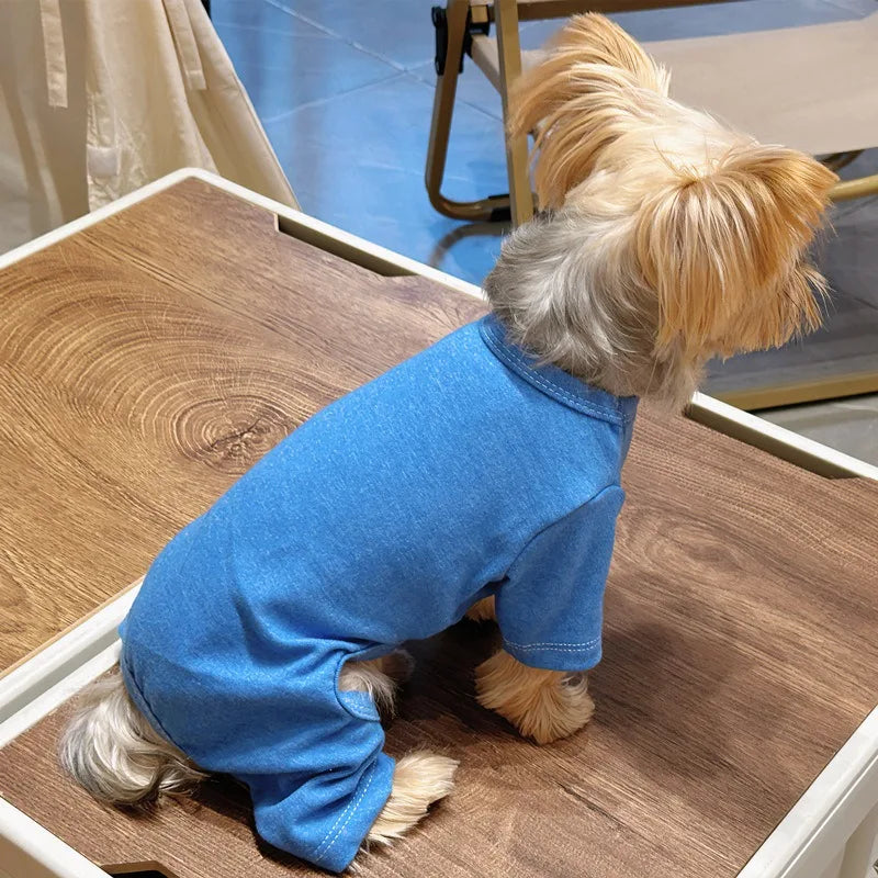 Fashion Winter Pet Dog Sweater: Solid Color Cotton Knit for Small/Medium Dogs