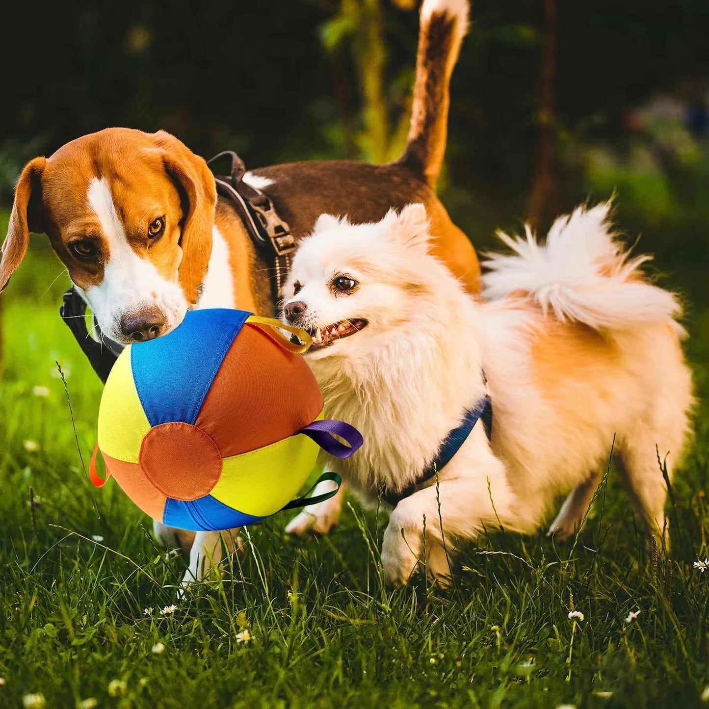 Pet Herding Ball Compact Outdoor Exercise Ball Chew Resistant Ball Colorful Inflatable Training  For Outdoor Exercise Chasing