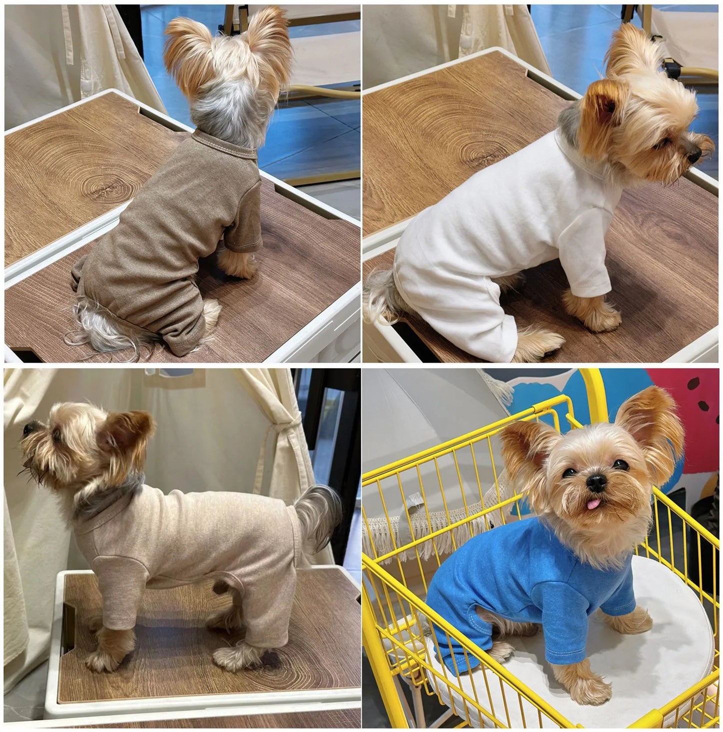 Fashion Winter Pet Dog Sweater: Solid Color Cotton Knit for Small/Medium Dogs