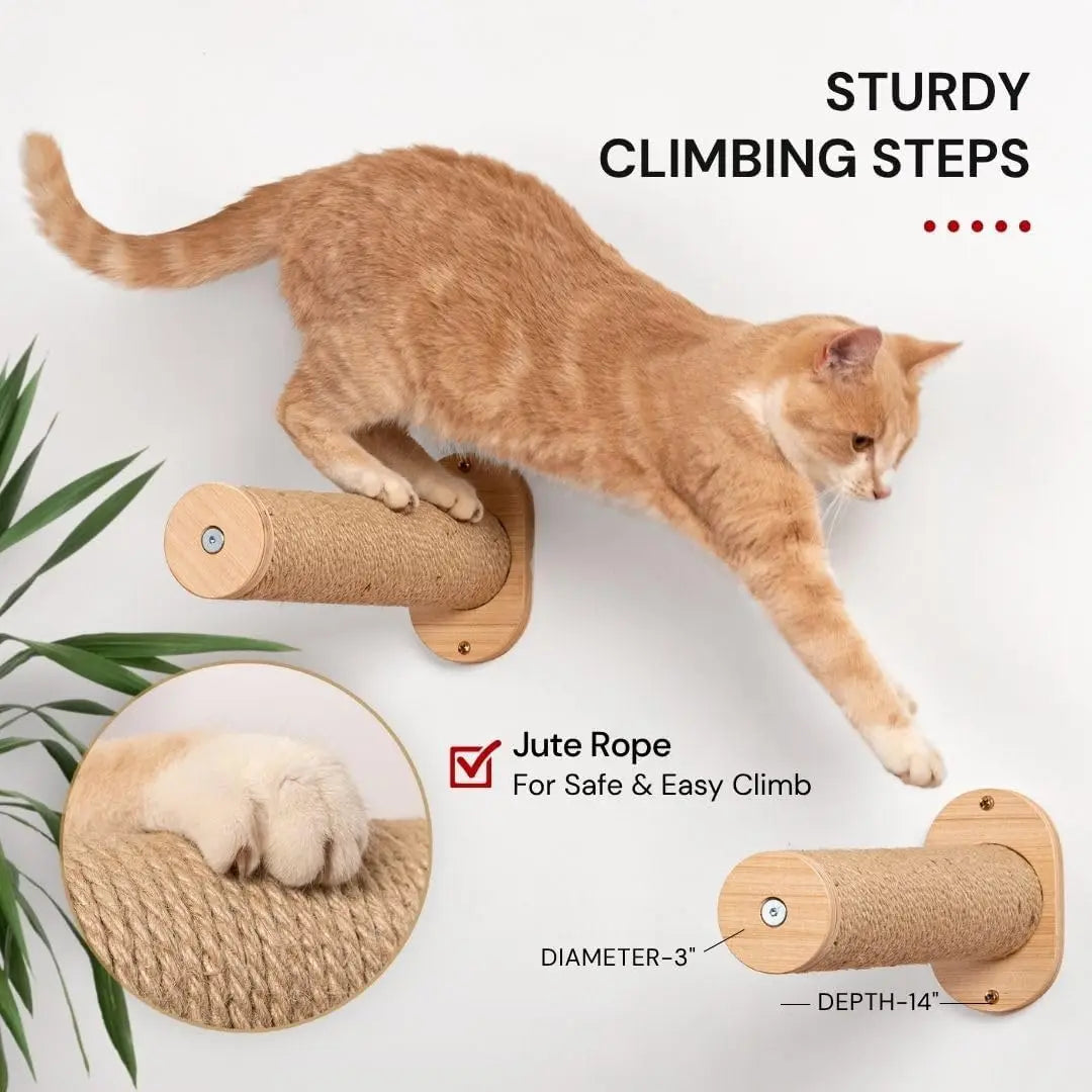 Wall Mounted Cat Hammock with Two Steps - Modern Cat Bed & Furniture for Indoor and Large Cats
