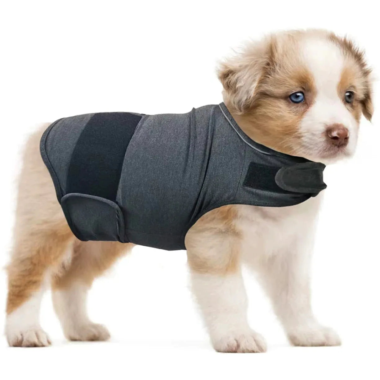 Dog Anxiety Vest Breathable Dog Stress Relieving Dog Lightning Protection Jacket for Anti Anxiety Vest Keeps Pets Calm