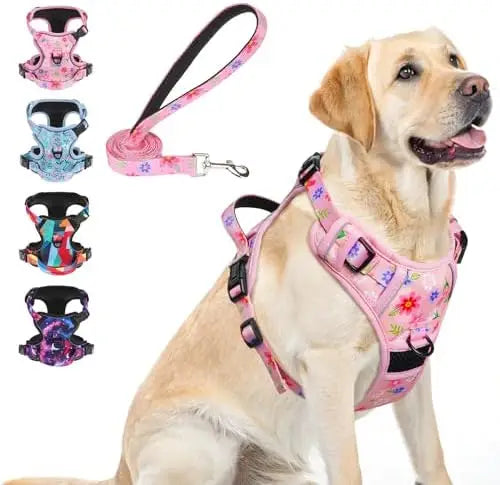Pet-friendly harness with clips, adjustable leash, reflective vest for dogs.